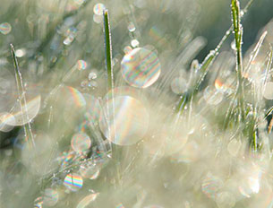 Ethische Fallberatung