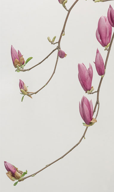 Lebensqualität bis zuletzt