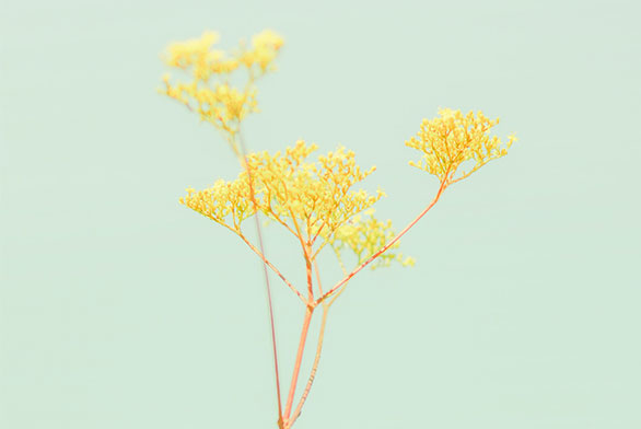 Mitglieder LV Hospiz